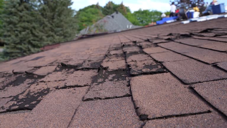 Best Rubber Roofing (EPDM, TPO)  in Tracy City, TN