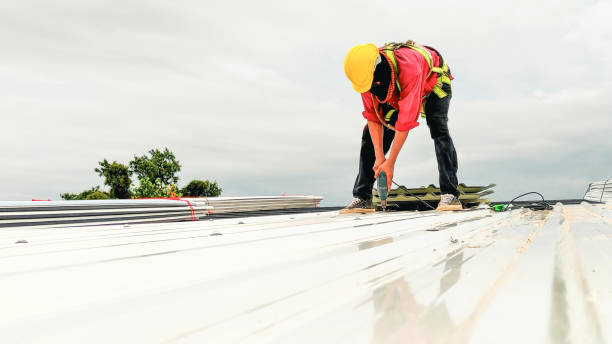 Best Steel Roofing  in Tracy City, TN