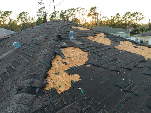 Best Asphalt Shingle Roofing  in Tracy City, TN